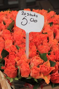 Roses in various colors at a market (text on tags: names and prices in Dutch)