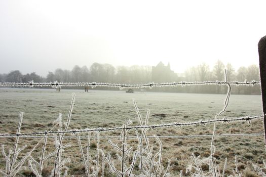 Hoarfrost on barbed wire on a midwinter morning