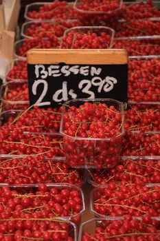 red currants in small boxes on a market stall (text on tag: product and price information in Dutch)