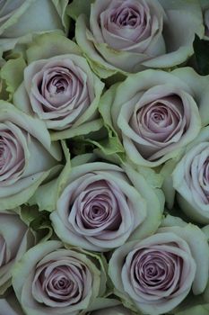 Purple roses in a mixed bridal bouquet