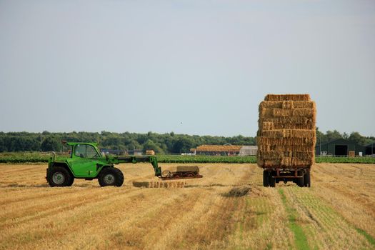 Tractor in a field, harvesting grain in the late afternoon sun