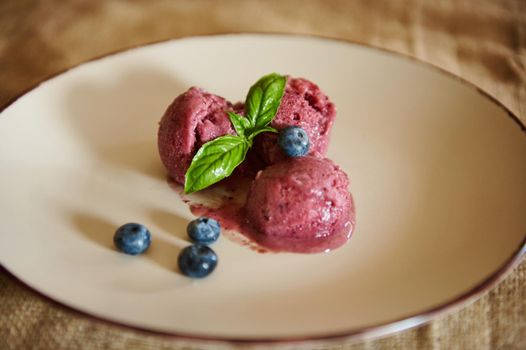 Healthy, tasty homemade huckleberry ice cream topped with organic blueberries and green leaf of lemon basil. Healthy vegetarian diet. Vegan raw fruit organic delicious dessert, dairy free, gluten free