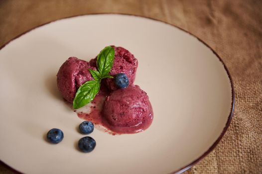 Healthy, tasty, homemade huckleberry sorbet topped with organic blueberries and green leaf of lemon basil. Healthy vegetarian diet. Vegan raw fruit organic delicious dessert, dairy free, gluten free
