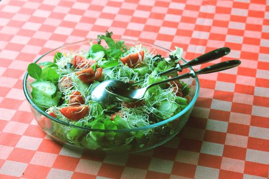 Fresh green mixed salad with tomato and alfalfa