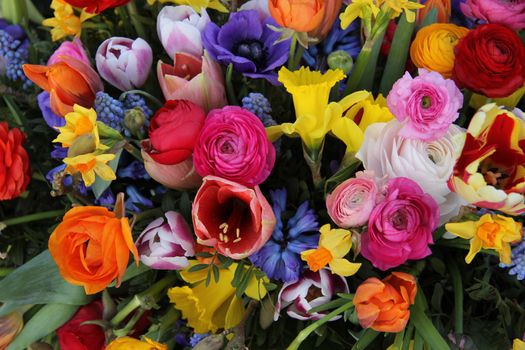 Spring Flowers in a multicolored mixed bouquet