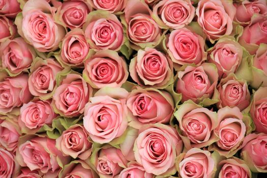 a pink roses backdrop at a wedding, floral decorations