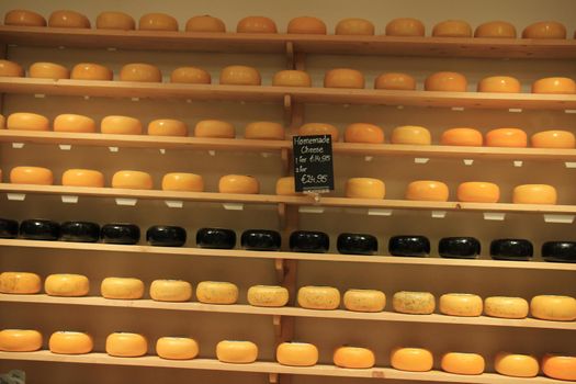 Traditional Dutch cheeses on display in a store