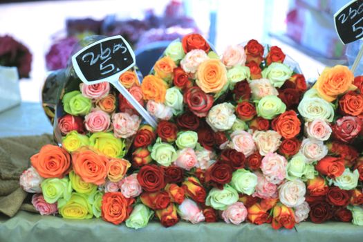 Roses in various colors at a market (text on tags: names and prices in Dutch)