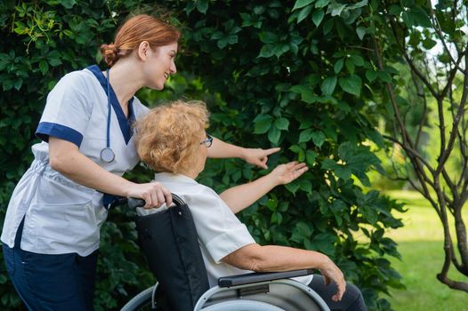 Caucasian female doctor walks with an elderly patient in a wheelchair in the park. Nurse accompanies an old woman on a walk outdoors
