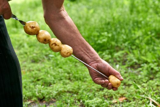 an outing or occasion that involves taking a packed meal to be eaten outdoors.