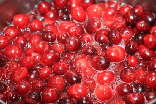 Preparing homemade cranberry sauce for thanksgiving or christmas