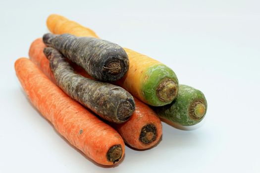 Big fresh carrots in different colors and sizes