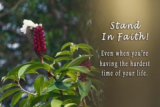 Motivational quote with fresh nature and blurred green leaf background - Stand in faith, even when you are having the hardest time of your life.