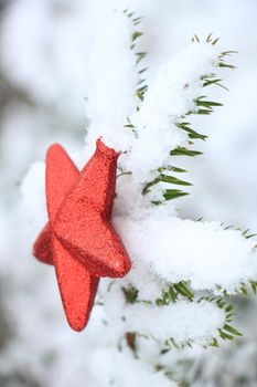 Red star ornament on a snow covered pine branch