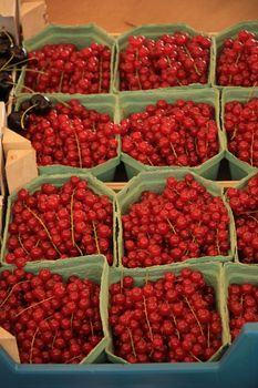 red currants in small boxes on a market stall