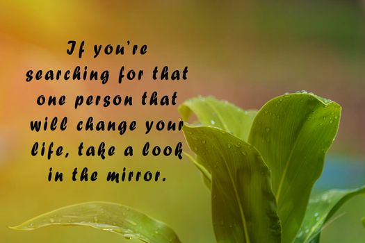 Motivational quote with fresh nature and blurred green leaf background - If you are searching for that one person that will change your life, take a look in the mirror.