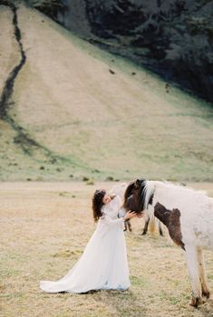 Bride strokes a horse in a mountain valley. Iceland. High quality photo