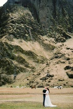 Groom hugs bride against the backdrop of horses grazing near the mountain. Iceland. High quality photo