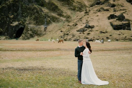 Groom hugs bride against the backdrop of grazing horses. Iceland. High quality photo
