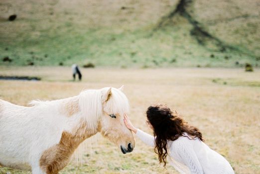 Bride strokes a white-red horse. Iceland. High quality photo