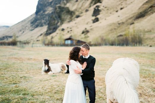 Groom hugs bride in a pasture among grazing horses. High quality photo