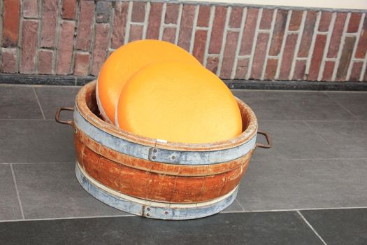 Big Dutch cheese on display in a store