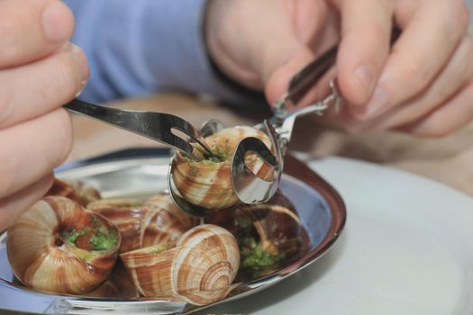 Man eating escargots de Bourgogne using a special tong and a snail fork