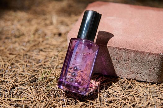 Transparent light purple dropper bottles of moisturizing, nourishing serum for face care, on the stone, on fallen dry pine trees needles on the background. Summer anti-aging skin care. Copy ad space