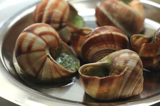 Escargots de Bourgogne on a metal plate, just out of the oven