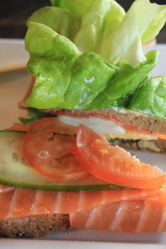 A fresh salmon sandwich: smoked salmon, lettuce, fresh dill and egg