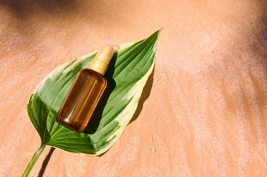 Minimalist still life art of unbranded dark glass bottle with SPF oil or sunscreen body lotion the leaf of a lily of the valley flower, on golden sand beach background with shadows from palm leaves