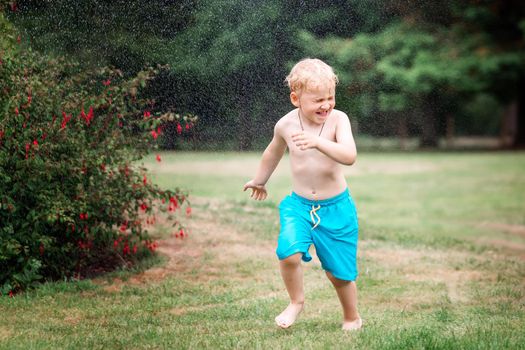 Little kid playing with water on hot summer day. Boy with garden sprinkler. Outdoor fun. Boy runs on a field under water drops.