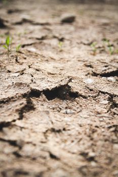 Dried desert land. Cracks in the ground. Dehydrated soil. Deep cracks and drought.