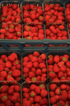 Strawberries in small containers on a market stall