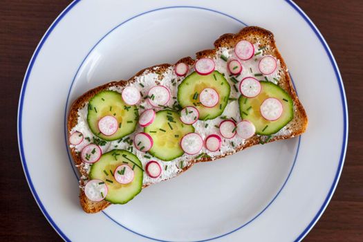 radish, cucumber and soft cheese toast on a plate, top view