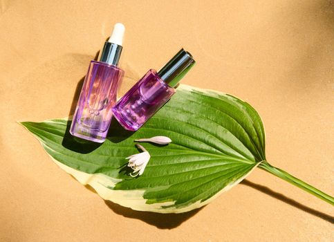 Advertising shot of transparent glass bottles with anti-aging serum and liquid skin care product on a green leaf of lily of the valley flower on a sand-colored background. Copy ad space. Still life