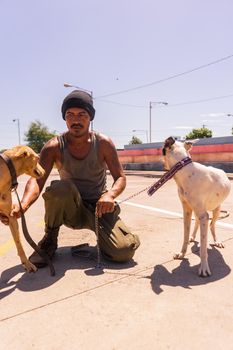 Latin adult man walking with his two mongrel dogs in a park in Managua, Nicaragua