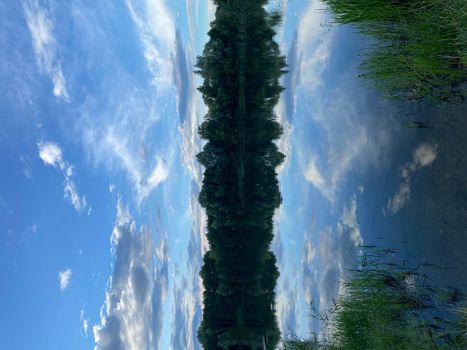 Beautiful sunset on the lake. Clouds and the silhouette of trees are reflected in the water.