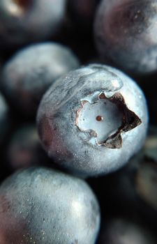 Macrophotography.Selective focusing of blueberry berries.Texture or background