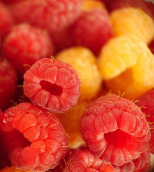 Macrophotography.A handful of ripe garden raspberries of red-yellow color.Texture or background