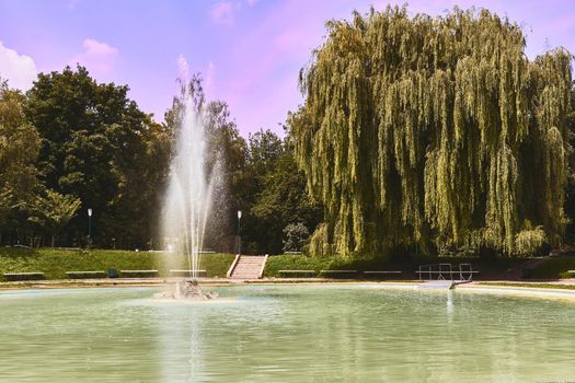 an ornamental structure in a pool or lake from which one or more jets of water are pumped into the air.