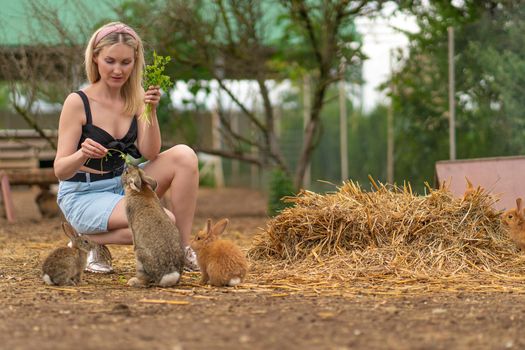 Girl parsley easter feeds rabbit brown bunny white nature healthy, for hare young from portrait and small grass, wild eyes. Funny little,