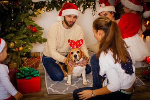 Merry Christmas and Happy New Year. Happy family with dog beagle are waiting for the Christmas in Santa Claus hats