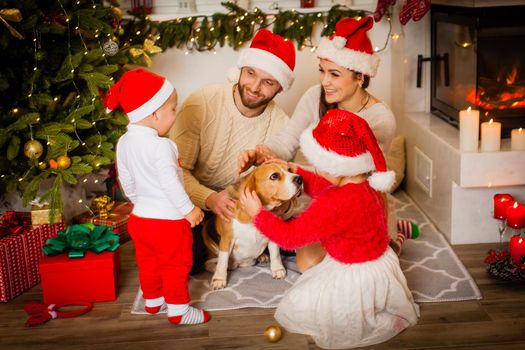 Merry Christmas and Happy New Year. Happy family with dog beagle are waiting for the Christmas in Santa Claus hats