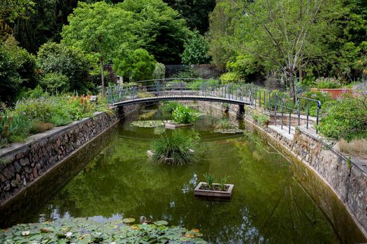 Pond in a French public park