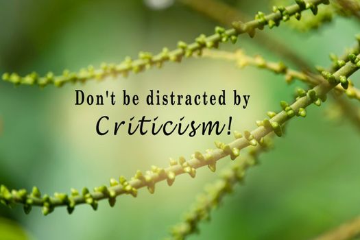Motivational quote with fresh nature and blurred green leaf background - Do not be distracted by criticism.