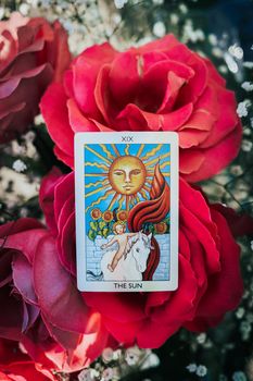 Prediction - The SUN card oracle on flowers background. Tarot reader. Future forecasting, esoteric, intuition concept. High quality photo