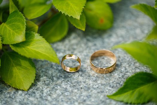 Gold wedding rings for newlyweds on wedding day