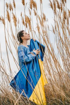 Sorrowful ukrainian woman with national flag on natural reeds background. Lady in blue embroidery vyshyvanka blouse. Ukraine, independence, freedom, patriot symbol, victory in war. High quality photo