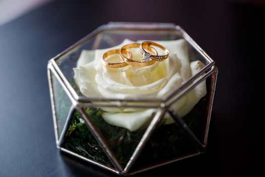 Gold wedding rings for newlyweds on their wedding day. Jewelry for the holiday of a couple in love